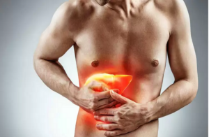 liver