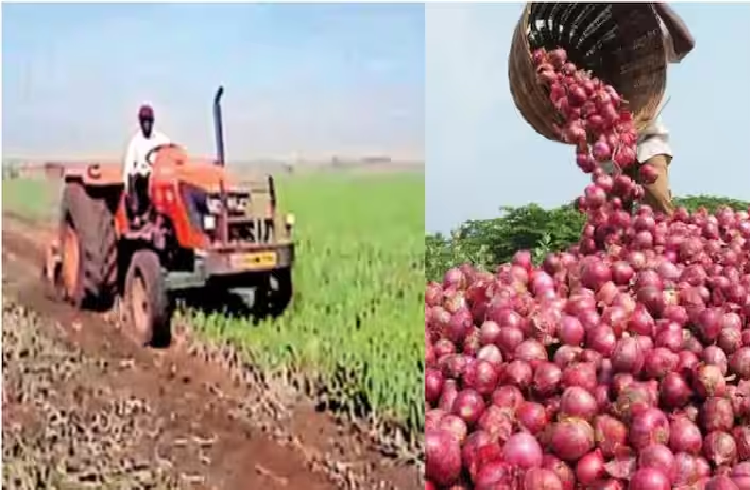 BIG NEWS : ಯುದ್ಧದ ಎಫೆಕ್ಟ್ : ಗಲ್ಫ್ ರಾಷ್ಟ್ರಗಳಿಗೆ ರಫ್ತಾಗುತ್ತಿದ್ದ ಈರುಳ್ಳಿಗೆ ಬಿತ್ತು ಬ್ರೇಕ್, ರೈತರು ಕಂಗಾಲು!