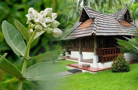 ಮನೆಯಲ್ಲಿ ಋಣ ಬಾಧೆ ಅನಾರೋಗ್ಯ ಸಮಸ್ಯೆ ಅನುಭವಿಸುತ್ತಿದ್ದೀರಾ? ಈ ಪರಿಹಾರ ಮಾಡಿ, ಒಂದೇ ತಿಂಗಳಲ್ಲಿ ಕ್ಲಿಯರ್