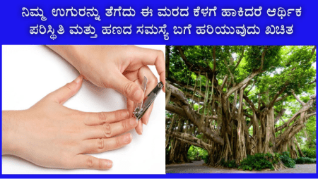 ಉಗುರನ್ನು ಕತ್ತರಿಸಿ ತದನಂತರ ಈ ಚಿಕ್ಕ ಕೆಲಸ ಮಾಡಿದರೆ ಆರ್ಥಿಕ ಪರಿಸ್ಥಿತಿ ಸುಧಾರಣೆ ಆಗುವುದು ಖಚಿತ