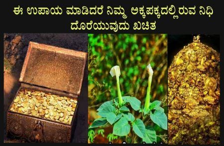 ನೀವು ಈ ಒಂದು ಉಪಾಯ ಮಾಡಿದ್ರೇ, ಅಕ್ಕಪಕ್ಕದಲ್ಲಿರುವ ‘ನಿಧಿ’ ನಿಮಗೆ ಕಾಣೋದು ಗ್ಯಾರಂಟಿ