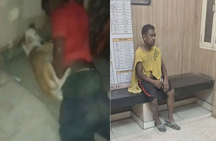 SHOCKING : ಬೀದಿ ನಾಯಿಗಳ ಮೇಲೆ ಅತ್ಯಾಚಾರ : ಕಾಮುಕ ಅರೆಸ್ಟ್ | WATCH VIDEO