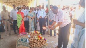 Hassan Potato sowing seed sale begins