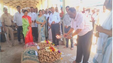 Hassan Potato sowing seed sale begins