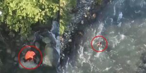 Video Man who helped terrorists in Jammu and Kashmir jumps into river, dies