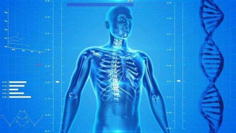 Some body parts may disappear in the future due to modern lifestyle