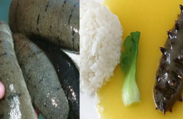 ಈ ‘ಸೀ ಸೌತೆಕಾಯಿ’ ನೋಡಿದ್ದೀರಾ.? ಸಿಕ್ಕರೆ ರಾತ್ರೋ ರಾತ್ರಿ ಕೋಟ್ಯಾಧಿಪತಿ ಆಗ್ತೀರಾ.!