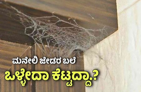 ಮನೆಯಲ್ಲಿ ‘ಜೇಡ ಬಲೆ’ ಕಟ್ಟುವುದು ಶುಭವೋ, ಅಶುಭವೋ? ಇಲ್ಲಿದೆ ಓದಿ