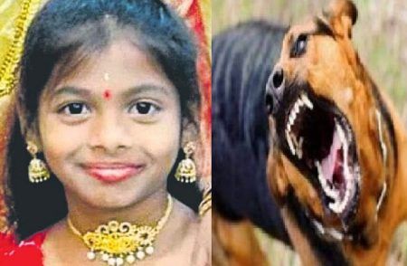 SHOCKING : ಬೀದಿ ನಾಯಿ ಕಚ್ಚಿ ತಿಂಗಳ ಬಳಿಕ `ರೇಬಿಸ್’ ಸೋಂಕಿನಿಂದ ಬಾಲಕಿ ಸಾವು.!