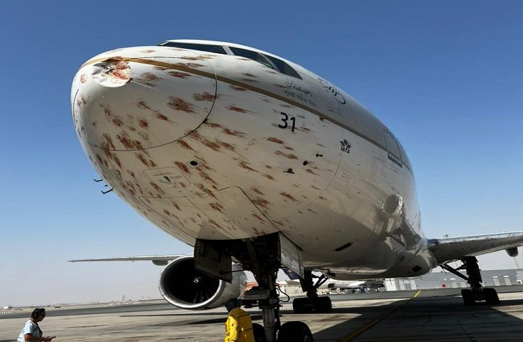 ವಿಮಾನಕ್ಕೆ ಡಿಕ್ಕಿ ಹೊಡೆದ ಪಕ್ಷಿಗಳ ಹಿಂಡು : ಫೋಟೋ ವೈರಲ್