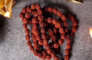 ಗಮನಿಸಿ : `ರುದ್ರಾಕ್ಷಿ’ ಧರಿಸುವುದರಿಂದ ಸಿಗಲಿವೆ ಈ ಪ್ರಯೋಜನಗಳು.!