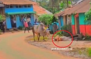 ದೀಪಾವಳಿ ಹೋರಿ ಬೆದರಿಸುವ ಸ್ಪರ್ಧೆ ವೇಳೆ ಮಾಜಿ ಶಾಸಕರಿಗೆ ಗಾಯ