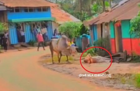 ದೀಪಾವಳಿ ಹೋರಿ ಬೆದರಿಸುವ ಸ್ಪರ್ಧೆ ವೇಳೆ ಮಾಜಿ ಶಾಸಕರಿಗೆ ಗಾಯ