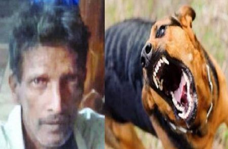 SHOCKING : ರಾಜ್ಯದಲ್ಲಿ ಬೀದಿ ನಾಯಿ ದಾಳಿಗೆ ಮತ್ತೊಂದು ಬಲಿ : ವ್ಯಕ್ತಿಯ ಕಣ್ಣುಗುಡ್ಡೆ ಕಿತ್ತು ರಕ್ತ ನೆಕ್ಕುತ್ತಾ ಕೂತಿದ್ದ ನಾಯಿ.!
