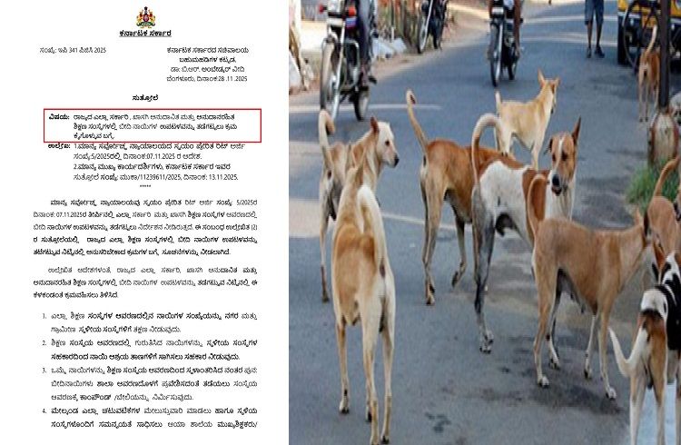 BIG NEWS : ರಾಜ್ಯದ ಎಲ್ಲಾ ಸರ್ಕಾರಿ, ಖಾಸಗಿ ಸಂಸ್ಥೆಗಳಲ್ಲಿ `ಬೀದಿನಾಯಿ’ಗಳ ಉಪಟಳ ತಡೆಯಲು ಈ ಕ್ರಮ ಕೈಗೊಳ್ಳಿ : ಸರ್ಕಾರದಿಂದ ಮಹತ್ವದ ಆದೇಶ