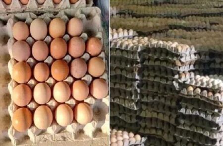 SHOCKING : ಗ್ರಾಹಕರೇ ಎಚ್ಚರ : ಬಣ್ಣ ಬಳಿದು ನಕಲಿ ಕೋಳಿ ಮೊಟ್ಟೆಗಳ ಮಾರಾಟ ಮಾಡುವ ಜಾಲ ಪತ್ತೆ.!