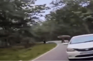 ಚಾಮರಾಜನಗರ : ಕಾಡಾನೆ ದಾಳಿಗೆ ಬೆಚ್ಚಿದ ಬೈಕ್ ಸವಾರ : ಕೂದಲೆಳೆ ಅಂತರದಲ್ಲಿ ಪ್ರಾಣಾಪಾಯದಿಂದ ಪಾರು ಪಾರು