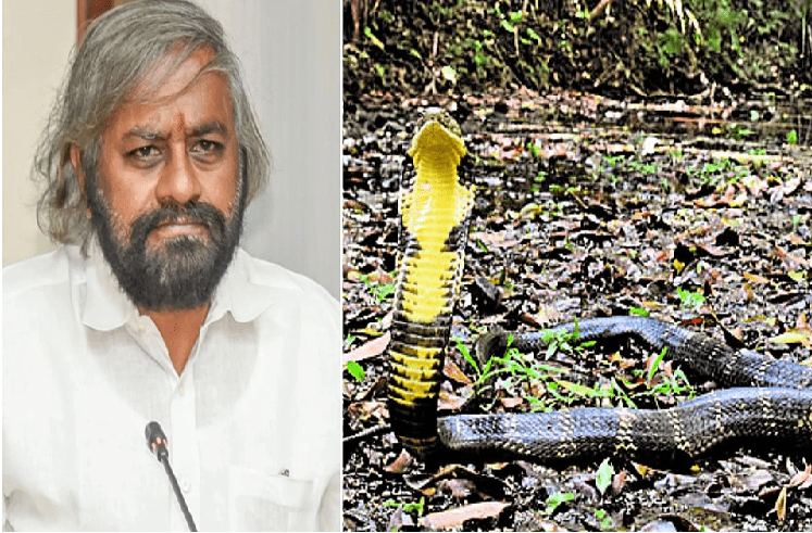 BIG NEWS : ‘ETF’ & ‘LTF’ ಮಾದರಿಯಲ್ಲಿ ಕಾಳಿಂಗ ಸರ್ಪ ಸೆರೆಗೆ ಟಾಸ್ಕ್ ಫೋರ್ಸ್ ರಚನೆ : ಅರಣ್ಯ ಸಚಿವ ಈಶ್ವರ್ ಖಂಡ್ರೆ