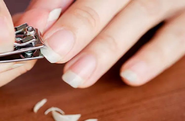 ಗಮನಿಸಿ : ಅಪ್ಪಿತಪ್ಪಿಯೂ ಈ ದಿನದಂದು ನಿಮ್ಮ ಉಗುರು ಕತ್ತರಿಸಬೇಡಿ.!