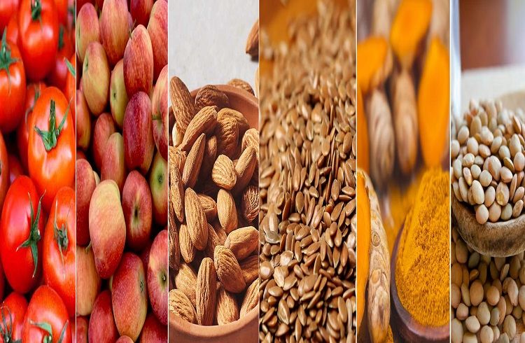 ನೀವು ಪ್ರತಿದಿನ ಸೇವಿಸಬೇಕಾದ ‘ಟಾಪ್ ಕ್ಯಾನ್ಸರ್ ವಿರೋಧಿ’ ಆಹಾರಗಳಿವು | Anti-Cancer Foods