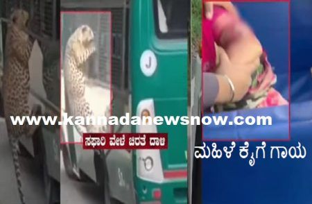 BREAKING: ಬೆಂಗಳೂರಿನ ಬನ್ನೇರುಘಟ್ಟದಲ್ಲಿ ಸಫಾರಿ ವೇಳೆ ಮಹಿಳೆ ಮೇಲೆ ‘ಚಿರತೆ ದಾಳಿ’