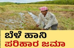 ರಾಜ್ಯ ಸರ್ಕಾರದಿಂದ ರೈತರಿಗೆ ಗುಡ್ ನ್ಯೂಸ್ : 2-3 ದಿನಗಳಲ್ಲಿ `ಬೆಳೆ ಹಾನಿ ಪರಿಹಾರ’ದ ಹಣ ಬ್ಯಾಂಕ್ ಖಾತೆಗೆ ಜಮೆ.!