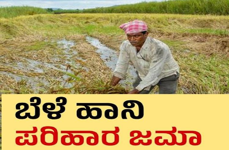 ರಾಜ್ಯ ಸರ್ಕಾರದಿಂದ ರೈತರಿಗೆ ಗುಡ್ ನ್ಯೂಸ್ : 2-3 ದಿನಗಳಲ್ಲಿ `ಬೆಳೆ ಹಾನಿ ಪರಿಹಾರ’ದ ಹಣ ಬ್ಯಾಂಕ್ ಖಾತೆಗೆ ಜಮೆ.!