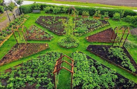 ರೈತರಿಗೆ ಉಪಯುಕ್ತ ಮಾಹಿತಿ: ಈ ಸಮಗ್ರ, ಸುಸ್ಥಿತ ಕೃಷಿ ಪದ್ಧತಿ ಅನುಸರಿಸಿ, ಲಕ್ಷಾಂತರ ಆದಾಯ ಗಳಿಸಿ