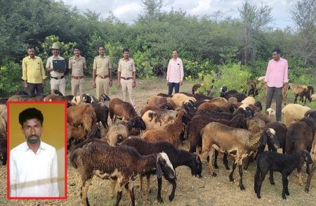 ಚಿತ್ರದುರ್ಗ: ಅಬ್ಬಿನಹೊಳೆ ಠಾಣೆ ಪೊಲೀಸರ ಮಿಂಚಿನ ಕಾರ್ಯಾಚರಣೆ, 24 ಗಂಟೆಯಲ್ಲೇ 120 ಕುರಿ ಕದ್ದ ಕಳ್ಳ ಅರೆಸ್ಟ್