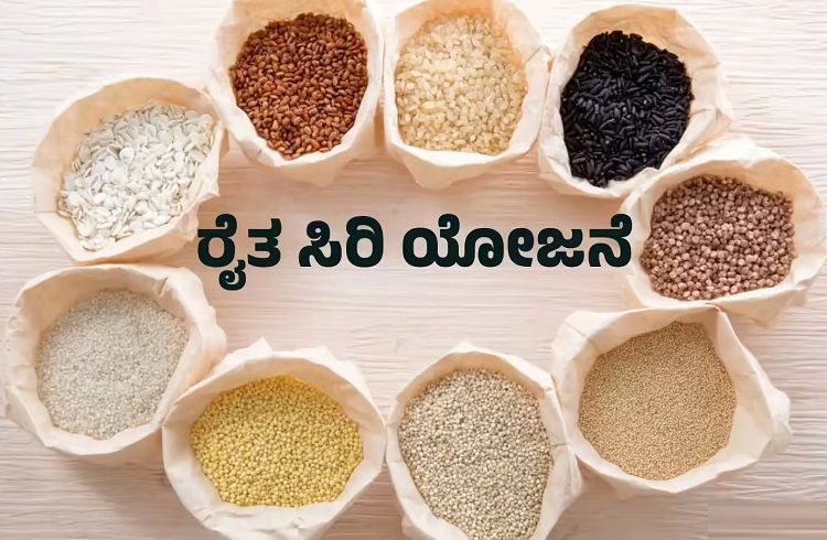 ಕನಿಷ್ಠ ಬೆಂಬಲ ಯೋಜನೆಯಡಿ ಜೋಳ, ರಾಗಿ, ಕಿರುಧಾನ್ಯಗಳ ಖರೀದಿ