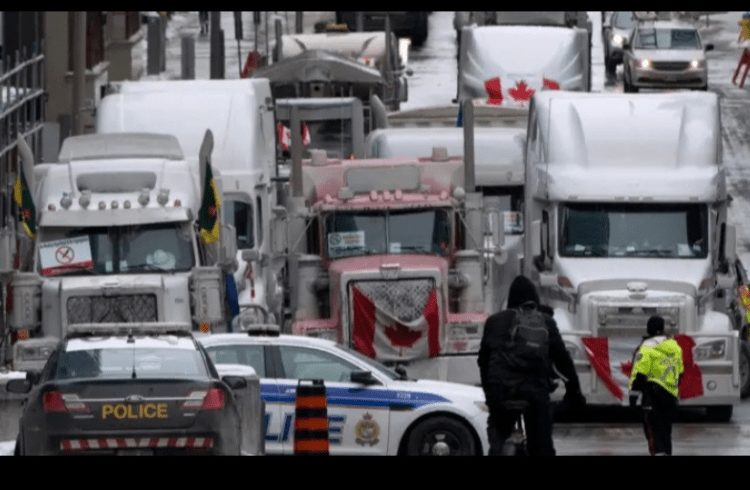 ನ್ಯೂಜಿಲೆಂಡ್ನಲ್ಲಿ 459 ಭಾರತೀಯ ಟ್ರಕ್ ಡ್ರೈವರ್ಗಳ ಪರವಾನಗಿ ರದ್ದು!