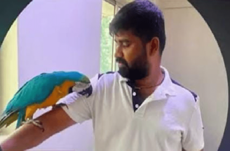 SHOCKING : ಬೆಂಗಳೂರಲ್ಲಿ ಘೋರ ದುರಂತ : ಗಿಳಿ ರಕ್ಷಿಸಲು ಹೋಗಿ ವಿದ್ಯುತ್ ತಂತಿ ತಗುಲಿ ಯುವಕ ಸಾವು!