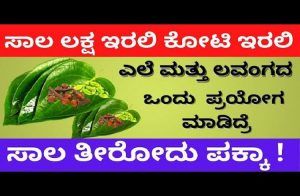 ಸಾಲ ಎಷ್ಟೇ ಇರಲಿ ಎಲೆ ಲವಂಗ ಏಲಕ್ಕಿ ಪ್ರಯೋಗ ಮಾಡಿ, ಸಾಲ ತೀರೋದು ಗ್ಯಾರಂಟಿ.!