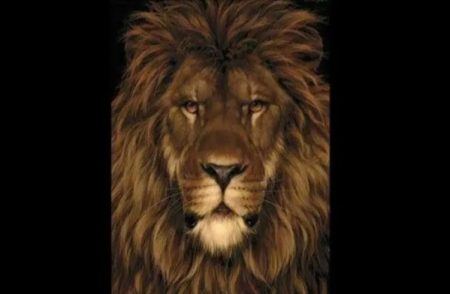 ಬುದ್ಧಿವಂತರಿಗೆ ಈ ‘ಸವಾಲು’.! ಸಿಂಹದಲ್ಲಿ ಅಡಗಿರುವ ‘ಇಲಿ’ ಗುರುತಿಸಲು ಸಾಧ್ಯವಾದ್ರೆ, ನೀವೇ ಬಾಸ್!