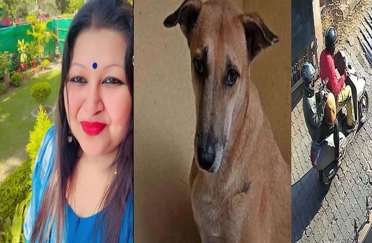 SHOCKING : ಸಾಕು ನಾಯಿಯ ಮೇಲೆ ಬೊಗಳಿದ್ದಕ್ಕೆ `ಬೀದಿ ನಾಯಿ’ಯ ಹತ್ಯೆಗೆ ಸುಪಾರಿ ನೀಡಿದ ‘ಸೇನಾ ಅಧಿಕಾರಿಯ ಪತ್ನಿ’!