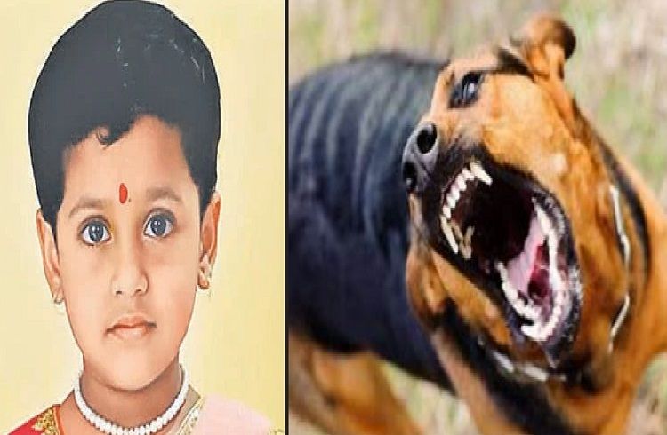 SHOCKING : ಪೋಷಕರೇ ಎಚ್ಚರ : ಬೀದಿ ನಾಯಿ ಕಚ್ಚಿ `ರೇಬಿಸಿ’ನಿಂದ 5 ವರ್ಷದ ಬಾಲಕಿ ಸಾವು.!