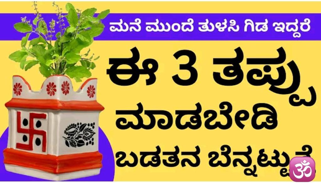 ತುಳಸಿ ಗಿಡ ನಿಮಗೆ ಹೇಳುವ 3 ಸಂಕೇತಗಳಿವು: ಈ ವಿಷಯಗಳನ್ನು ತಿಳಿದರೆ ಶಾಕ್ ಆಗುತ್ತೀರಿ