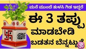 ತುಳಸಿ ಗಿಡ ನಿಮಗೆ ಹೇಳುವ 3 ಸಂಕೇತಗಳಿವು: ಈ ವಿಷಯಗಳನ್ನು ತಿಳಿದರೆ ಶಾಕ್ ಆಗುತ್ತೀರಿ