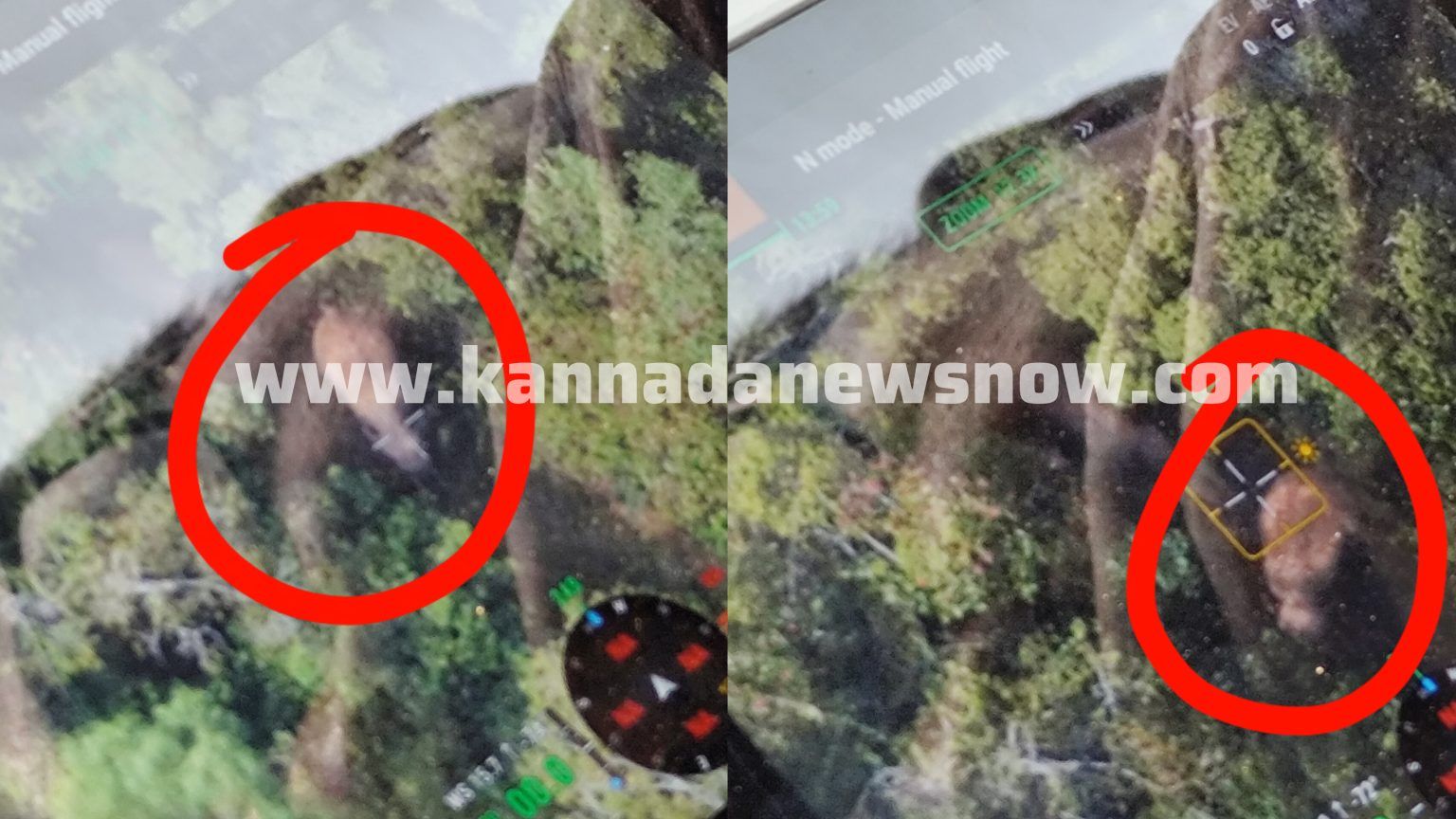 ಶಿವಮೊಗ್ಗ: ಸಾಗರದ ಮಡಸೂರಲ್ಲಿ ಎರಡು ಆನೆಗಳು ಪತ್ತೆ