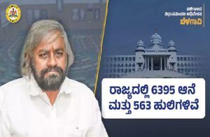 BIG NEWS : ರಾಜ್ಯದಲ್ಲಿ 6395 ಆನೆಗಳು, 563 ಹುಲಿಗಳಿವೆ : ಸಚಿವ ಈಶ್ವರ್ ಖಂಡ್ರೆ ಮಾಹಿತಿ