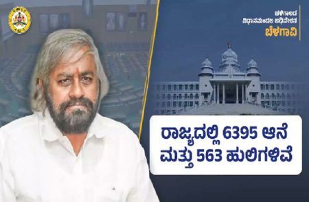 BIG NEWS : ರಾಜ್ಯದಲ್ಲಿ 6395 ಆನೆಗಳು, 563 ಹುಲಿಗಳಿವೆ : ಸಚಿವ ಈಶ್ವರ್ ಖಂಡ್ರೆ ಮಾಹಿತಿ