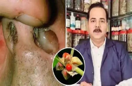 ಗಮನಿಸಿ : ಮೂಗಿನಲ್ಲಿ ದುರ್ಮಾಂಸ ಬೆಳೆದು ಉಸಿರಾಡಲು ಕಷ್ಟವಾಗುತ್ತಿದೆಯೇ? ಈ ಟಿಪ್ಸ್ ಫಾಲೋ ಮಾಡಿ.!