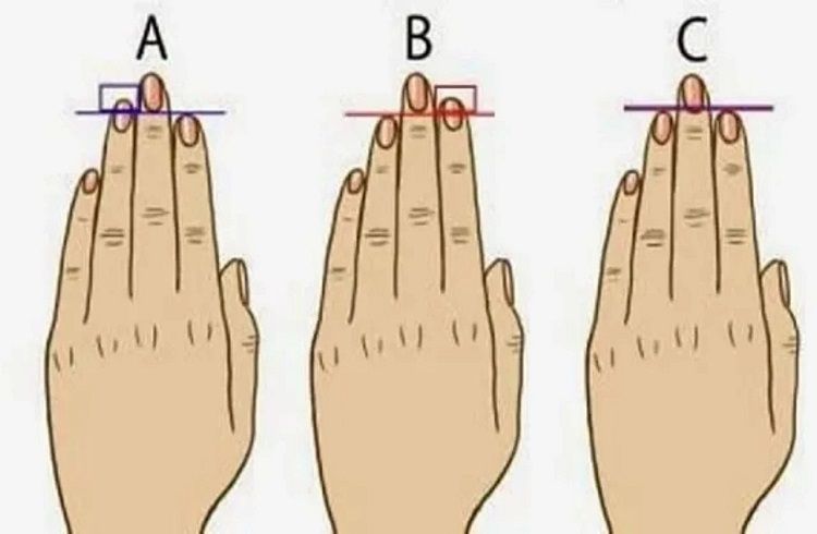 ಗಮನಿಸಿ : ಬೆರಳುಗಳ ಆಕಾರ ನೋಡಿ ನಿಮ್ಮ `ವ್ಯಕ್ತಿತ್ವ’ ಕಂಡುಹಿಡಿಯಬಹುದು | Personality Test
