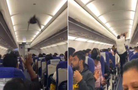ಟೇಕಾಫ್’ಗೂ ಮುನ್ನ ಇಂಡಿಗೋ ವಿಮಾನದೊಳಗೆ ನುಗ್ಗಿದ ಪಾರಿವಾಳ, ಹಿಡಿಯಲು ಯತ್ನಿಸಿದ ಪ್ರಯಾಣಿಕರು, ವಿಡಿಯೋ ವೈರಲ್