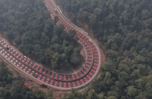 ಅರಣ್ಯ ಹೆದ್ದಾರಿಯಲ್ಲಿ ವನ್ಯಜೀವಿಗಳನ್ನು ರಕ್ಷಿಸಲು ದಪ್ಪ ಕೆಂಪು ರಸ್ತೆ ಗುರುತುಗಳನ್ನು ಪರೀಕ್ಷಿಸಿದ NHAI