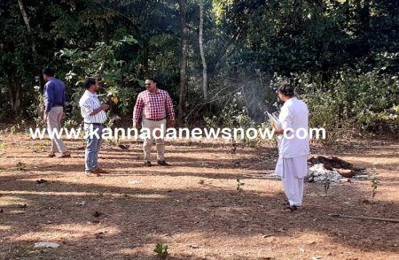 ಸಾಗರ ತಾಲ್ಲೂಕಿನ ಹಲವೆಡೆ ‘ಮಂಗಗಳ ಸರಣಿ ಸಾವು’: ಹೆಚ್ಚಾದ ‘ಮಂಗನ ಕಾಯಿಲೆ’ ಆತಂಕ