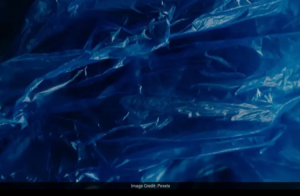 ಪ್ಲಾಸ್ಟಿಕ್ ಮಾಲಿನ್ಯಕ್ಕೆ ಬ್ರೇಕ್: ಮೈಕ್ರೋಪ್ಲಾಸ್ಟಿಕ್ ಮುಕ್ತ ‘ಜೈವಿಕ ಪ್ಲಾಸ್ಟಿಕ್’ ಕಂಡುಹಿಡಿದ ವಿಜ್ಞಾನಿಗಳು!