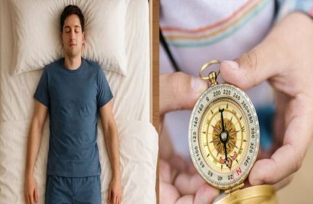 Vastu Tips : ಅಪ್ಪಿತಪ್ಪಿಯೂ ಈ ದಿಕ್ಕಿಗೆ ತಲೆ ಇಟ್ಟು ಮಲಗಬೇಡಿ.!