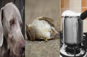 ALERT : ನಿಮ್ಮ ಜೀವನದಲ್ಲಿ ಏನಾದರೂ ಕೆಟ್ಟದು ಸಂಭವಿಸುವ ಮೊದಲು ಕಾಣಿಸಿಕೊಳ್ಳುವ ಲಕ್ಷಣಗಳು ಇವು..!