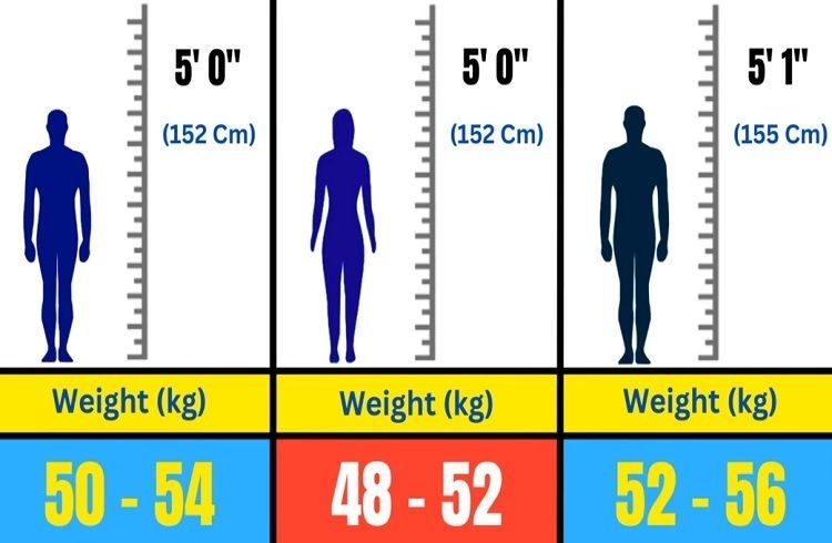 ಗಮನಿಸಿ : ವಯಸ್ಸು & ಎತ್ತರಕ್ಕೆ ಅನುಗುಣವಾಗಿ ಪುರುಷ, ಮಹಿಳೆಯರ ದೇಹದ ತೂಕ ಎಷ್ಟಿರಬೇಕು..? ಇಲ್ಲಿದೆ ಮಾಹಿತಿ